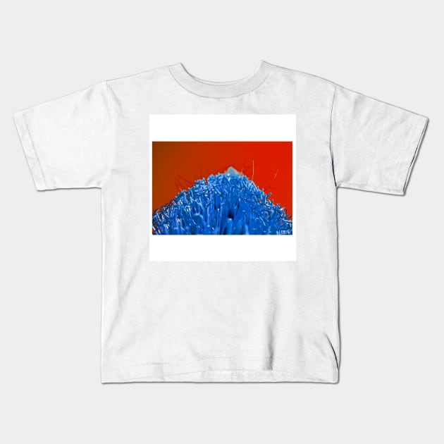 blue harvest ecopop landscape floral photograph Kids T-Shirt by jorge_lebeau